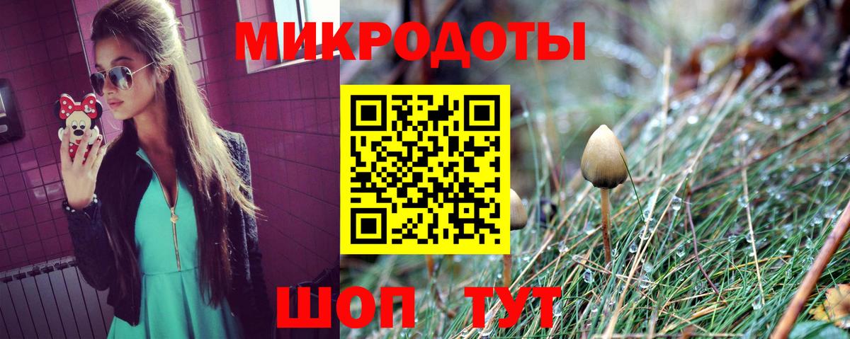 Димитровград  Псилоцибиновые грибы мухоморы  Вход с VPN 