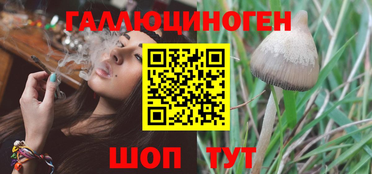 Псилоцибиновые грибы мицелий Димитровград